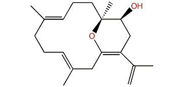 Lobocrassin F